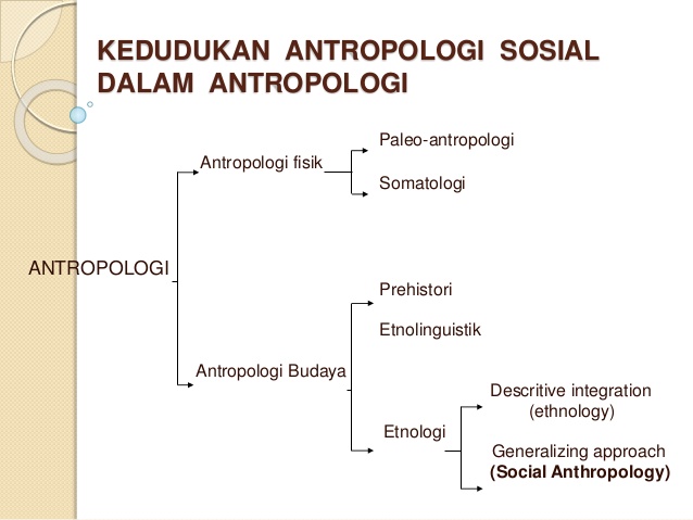 antropologi sosial